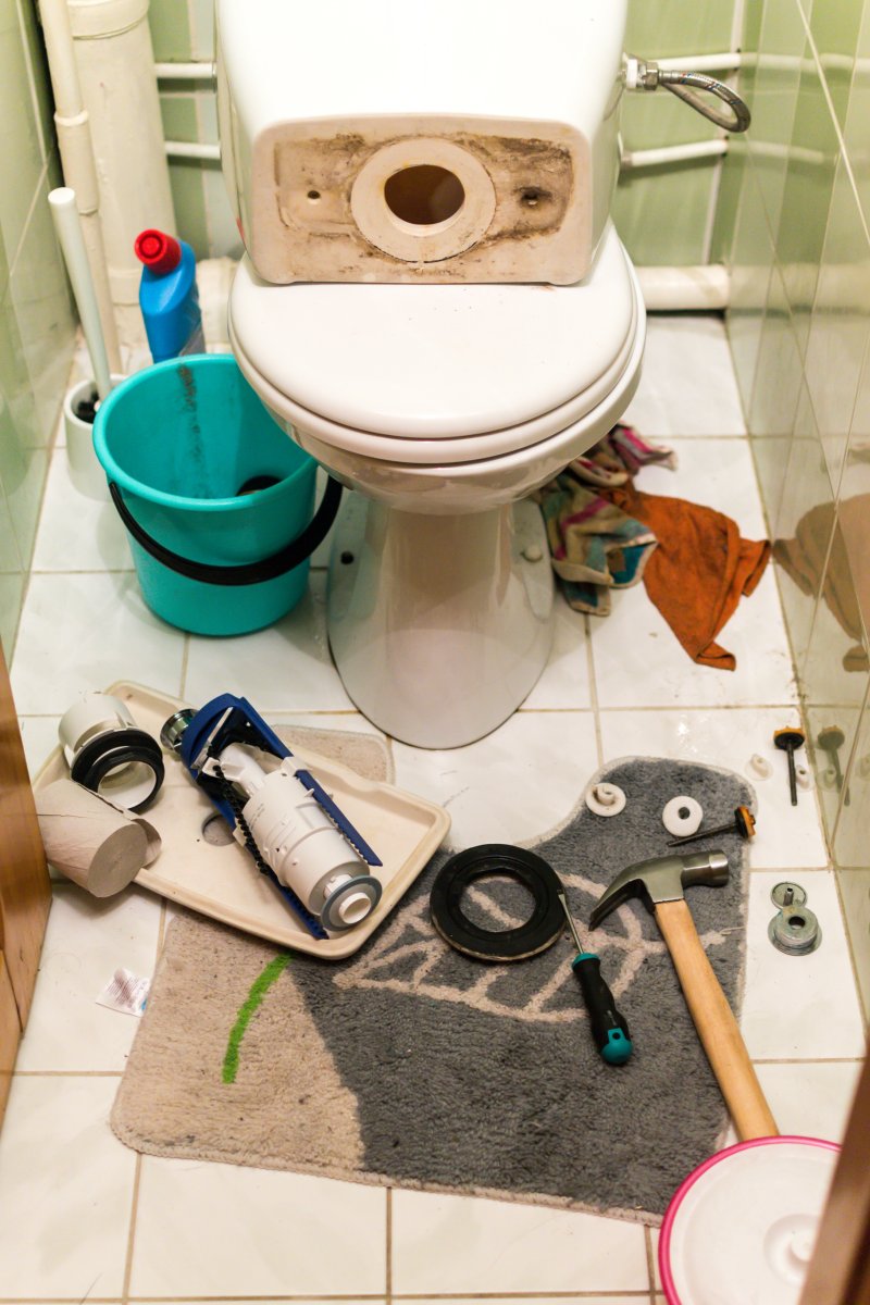 New toilet being installed in a Holland Park bathroom